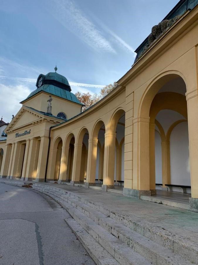 Villa Pazelt Top1 Bad Voeslau Eksteriør bilde